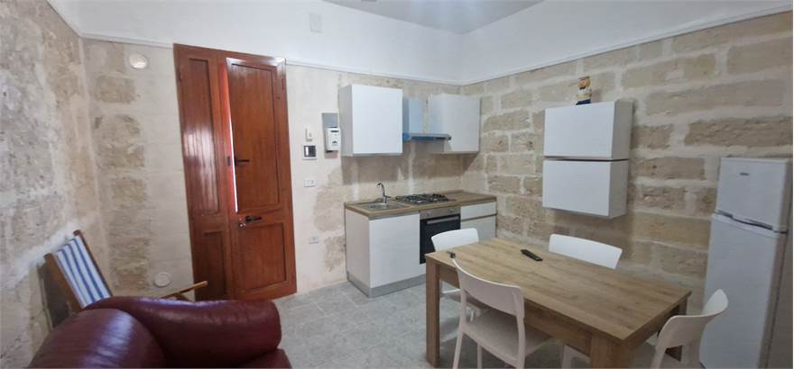 Cucina/soggiorno/sala da pranzo